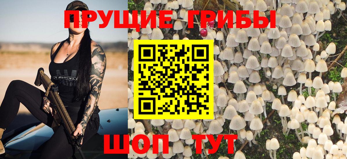 Чапаевск  Галлюциногенные грибы мицелий  Вход с VPN 